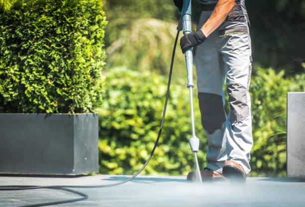Best House Exterior Washing  in Mount Sinai, NY